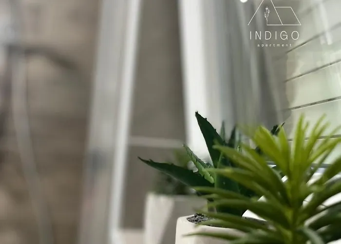 Apartament Indigo Vrnjačka Banja